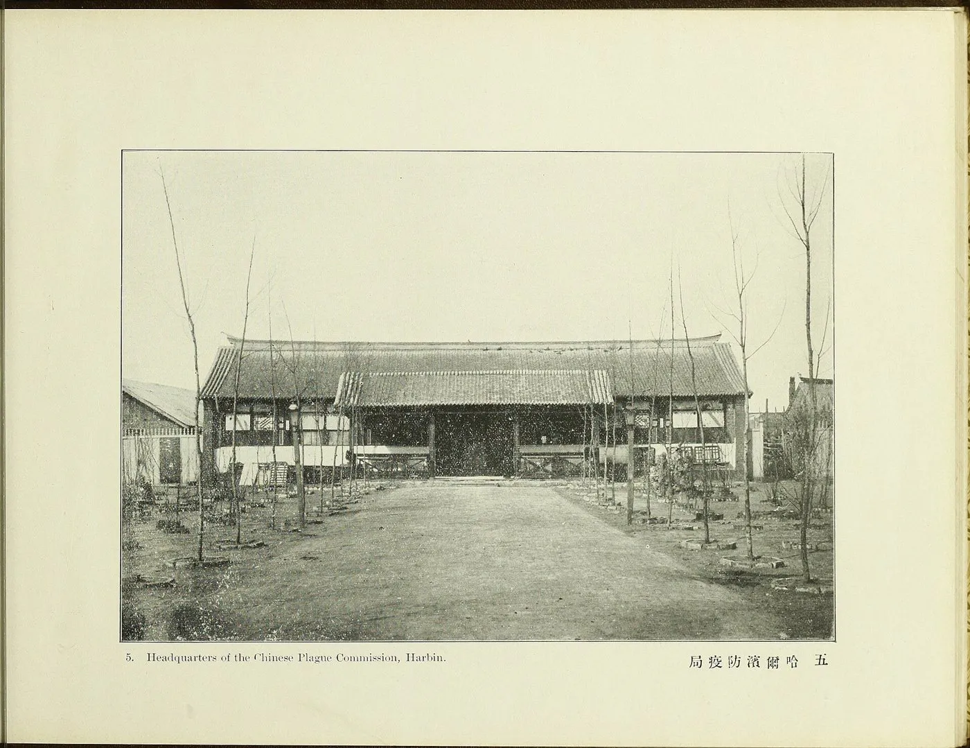 Photograph: Epidemic prevention bureau, Harbin. Manchurian plague, 1910–1911